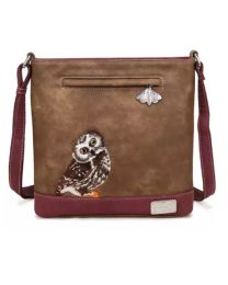 Appetizer - Owl